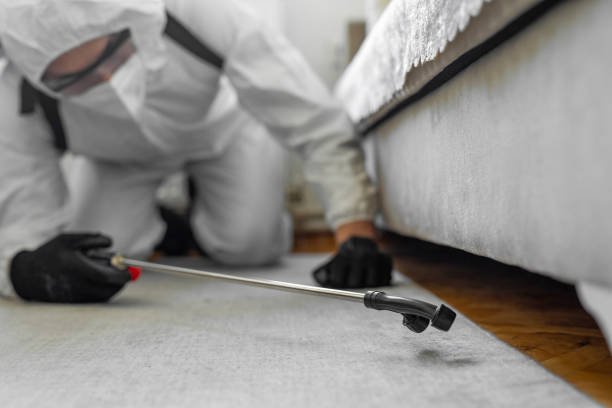 Professional Bed Bug Control technician working in Athens, AL